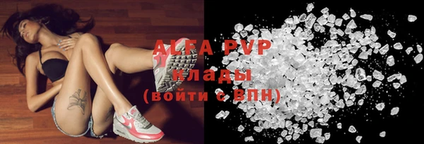 молекула духа Арсеньев