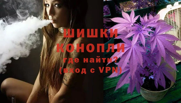 молекула духа Арсеньев