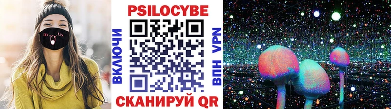 купить   Петухово  Псилоцибиновые грибы мухоморы 